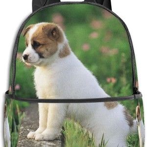 Meet your Posher, Lewis